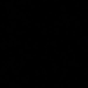 Meet your Posher, Bryant